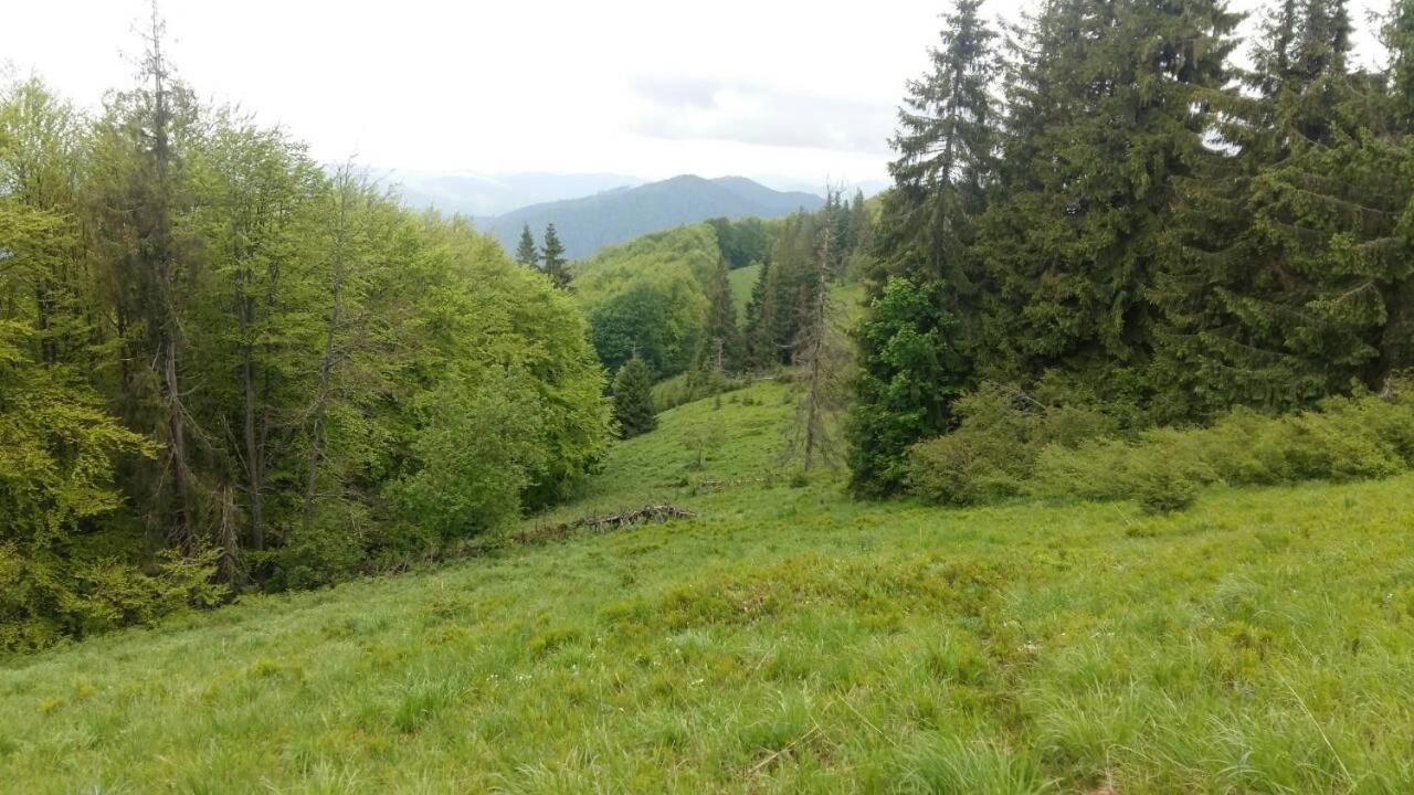 Лісовий Маєток Slavsko Exterior foto