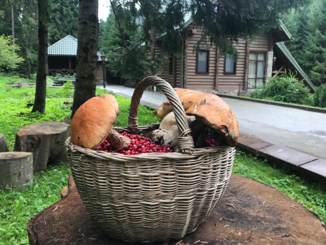 Лісовий Маєток Slavsko Exterior foto